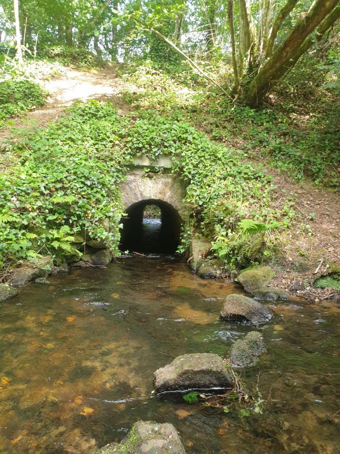 La Bulle De Clotilde - Logement Insolite Tourch ภายนอก รูปภาพ